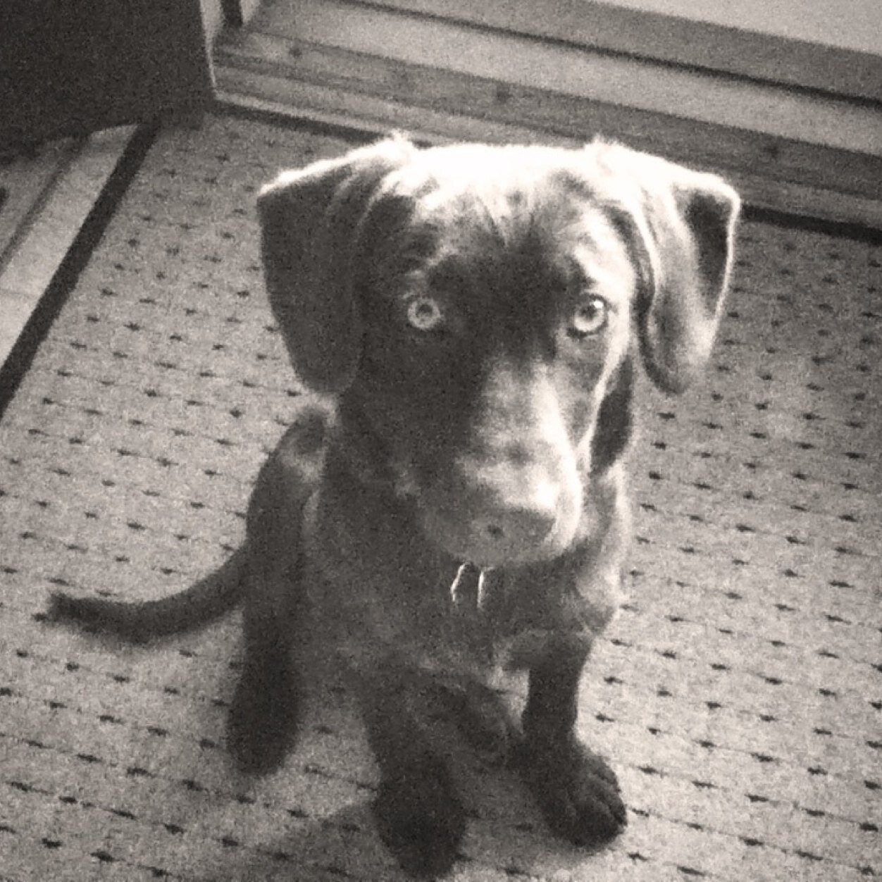 csaw520's profile picture. 