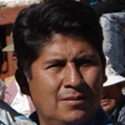 profesor de danzas