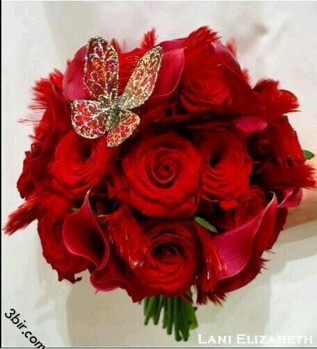 Asd1348C's profile picture. 