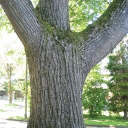 houtofthebox's profile picture. Creëer je eigen baan, begin voor jezelf, bouw voor jezelf. Bedenker, vormgever en maker van houten woningen. Out of the box denken en vooral doen met hout.