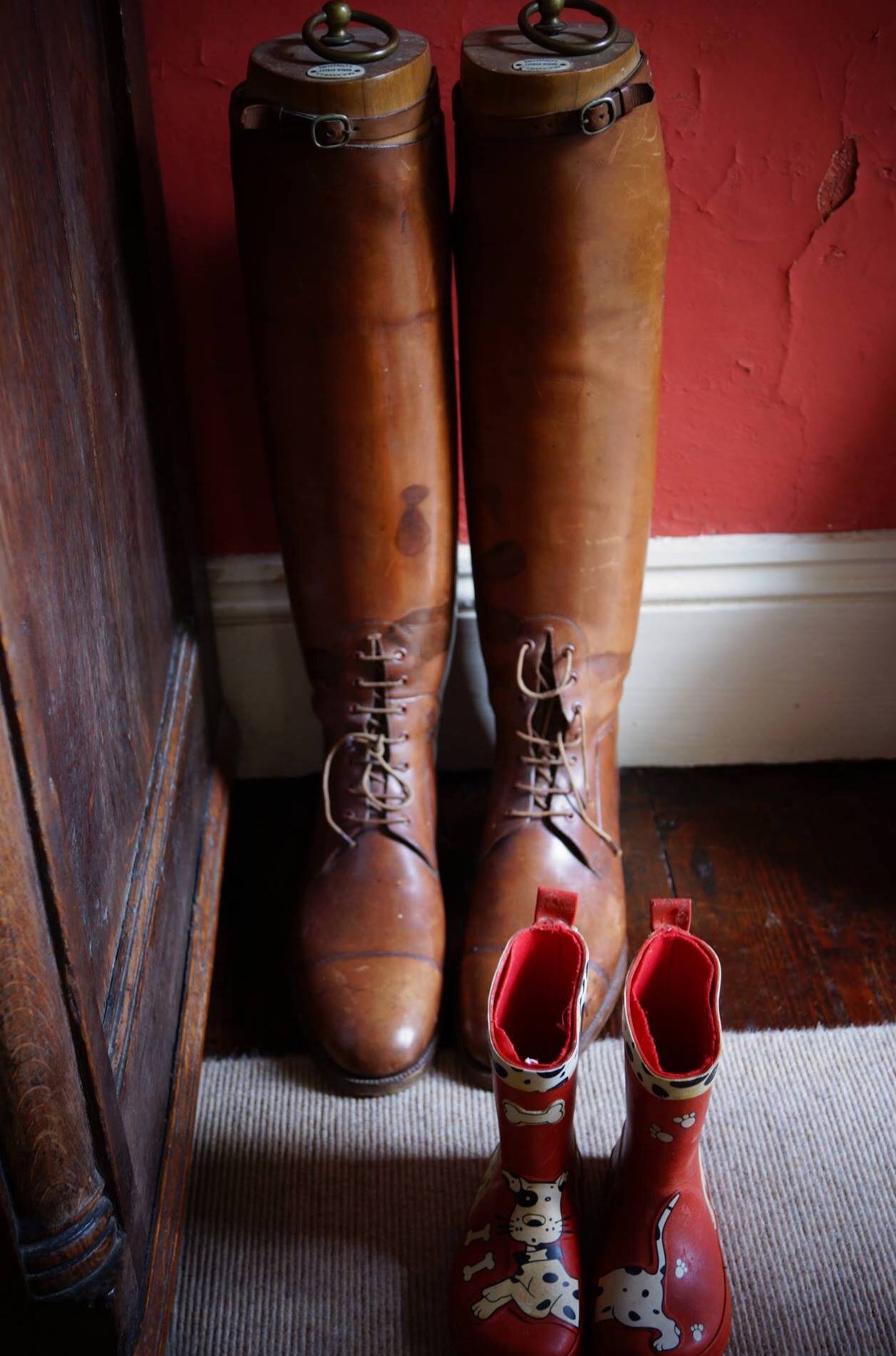 EquishopSaint's profile picture. Equestrian and country Store in Co Down and Online, specialising in Sidesaddle, showing and hunting