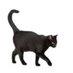 SchwarzieCat (@schwarziecat) Twitter profile photo SchwarzieCat (@schwarziecat) Twitter profile photo