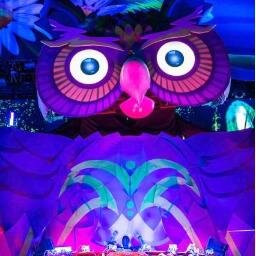 EDCLV2016's profile picture. ** NOT AFFILIATED WITH INSOMNIAC ** ALL ABOUT EDC LAS VEGAS 2014 ** DANCE SUNSET TO SUNRISE UNDER THE ELECTRIC SKY **