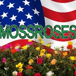 RED, WHITE, BLUE AND GREEN