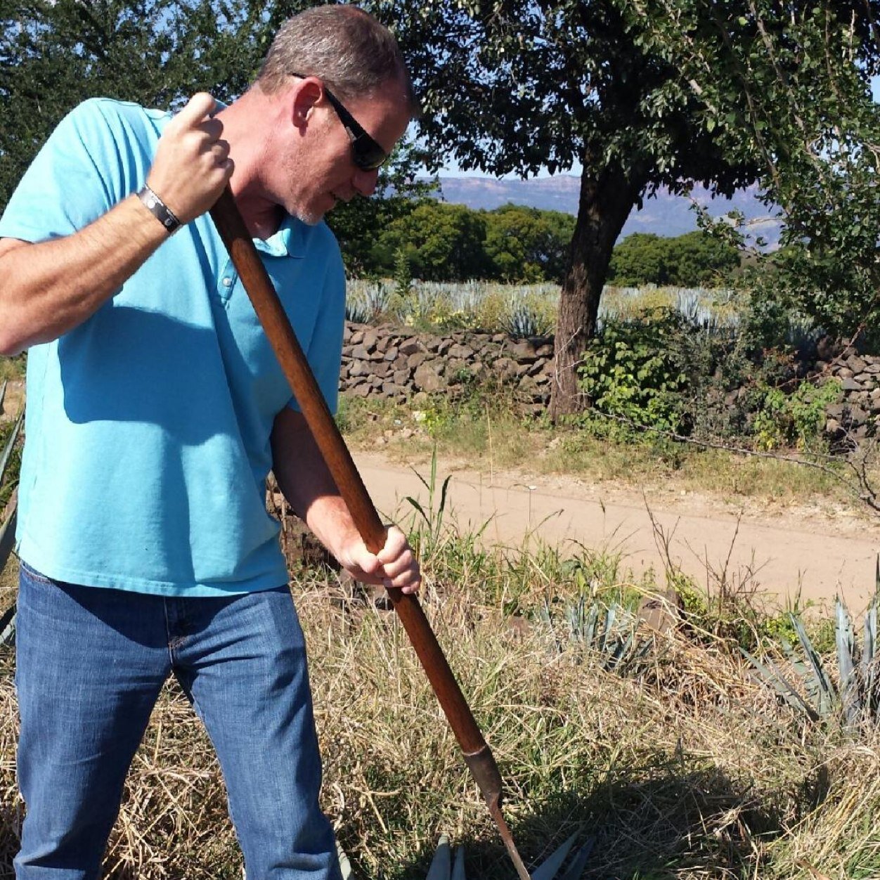 MikeAzunia's profile picture. 