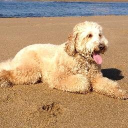 eblock's profile picture. 