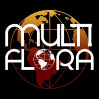 Multiflora (@multifloramusic) Twitter profile photo