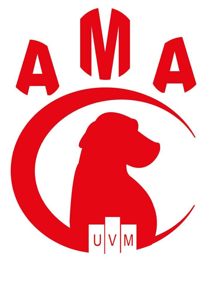 AMA UVM es una organización sin fines de lucro, conformada por voluntarios de la comunidad UVM. Universidad de Viña Del Mar.