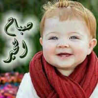 السلطان  (@zayadsofe) 's Twitter Profile