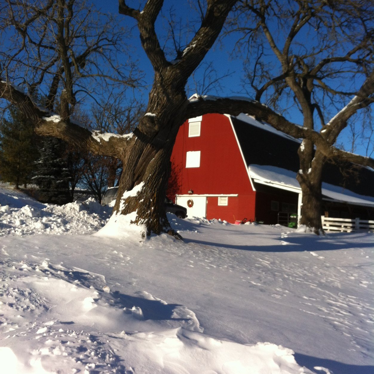 North Hill Farm, an equine boarding and training facility in Spring Grove IL