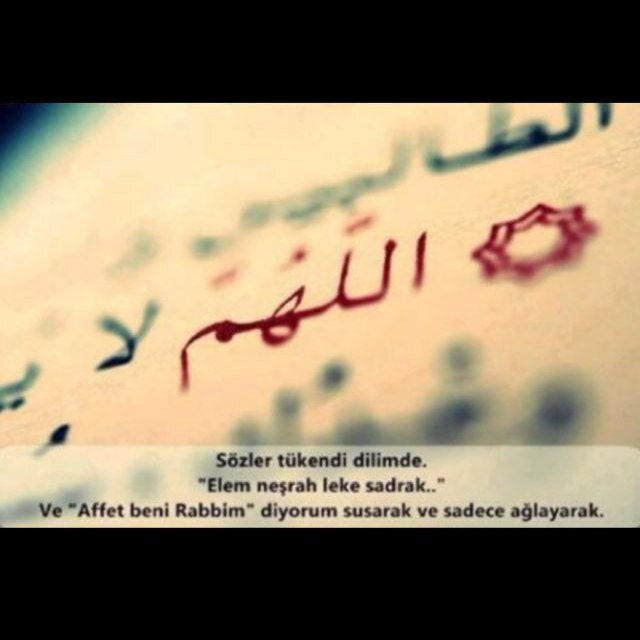 Kubraaah's profile picture. 