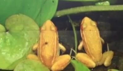 happy_life39's profile picture. 