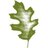 SouthernOakIns's profile image