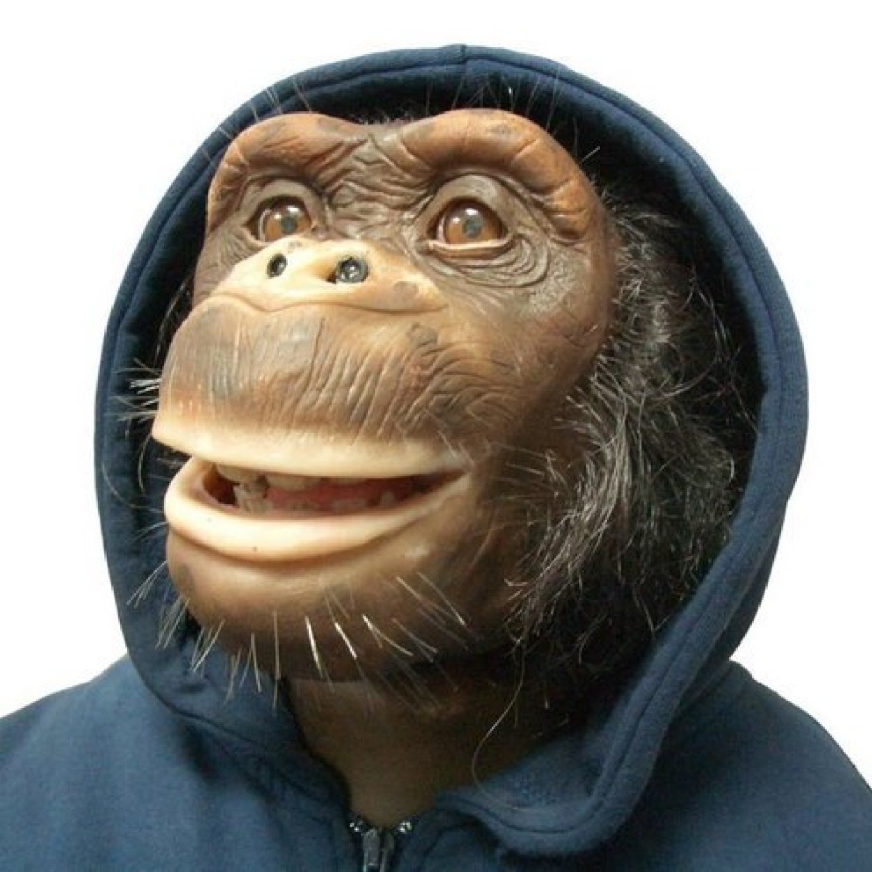 Manchester United, Dallas Cowboys, Wrestling, Technology and Chimps...