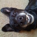 Paul Heaton - @davidpaulheaton - Twitter