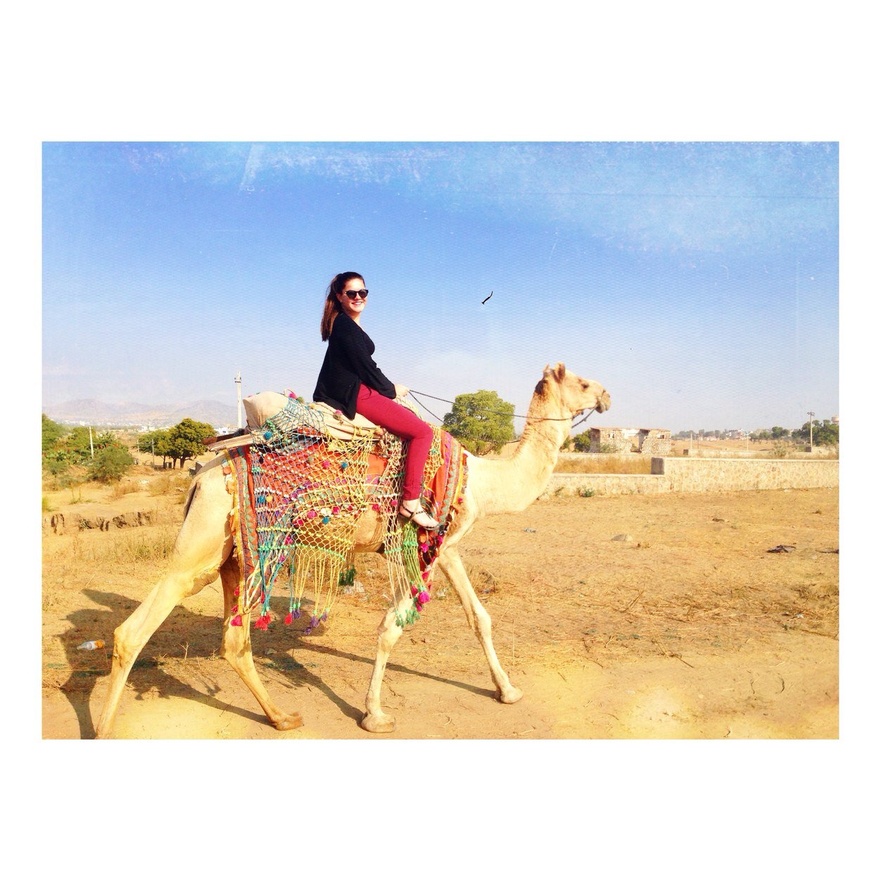 sabinelueb's profile picture. 