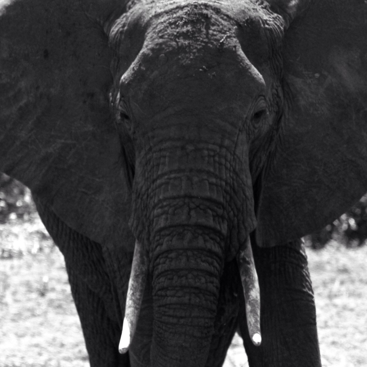 spjuter16's profile picture. 