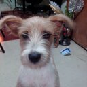 Mario Estrella - @Me87E - Twitter