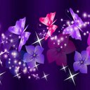 Tegan Shaw - @teganmaddy - Twitter