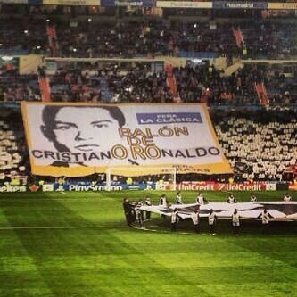 SaudiDrGz's profile picture. 