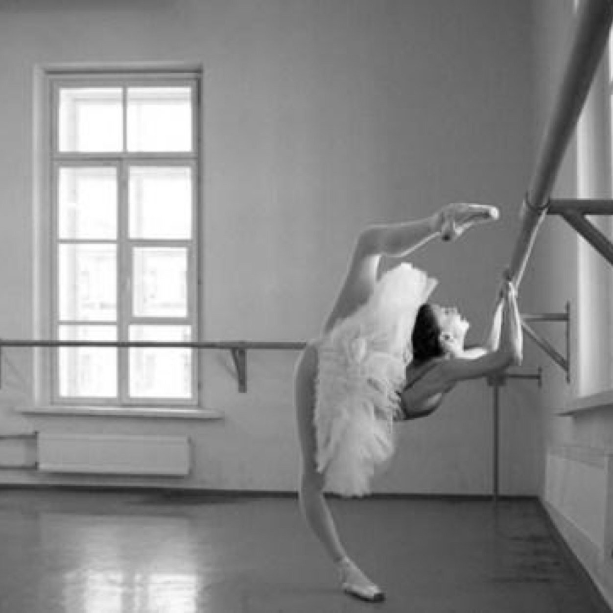 DanceIsLifeeee's profile picture. Dancer status, i interact with my followers. Instagram: @danceislifeee