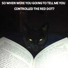 Cat vs Red Dot catvsreddot Twitter Cat vs Red Dot catvsreddot Twitter