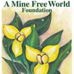 Founder A Mine Free World Foundation