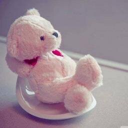 lolo_popos's profile picture. 