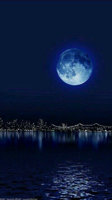 robtheblue1's profile picture. 