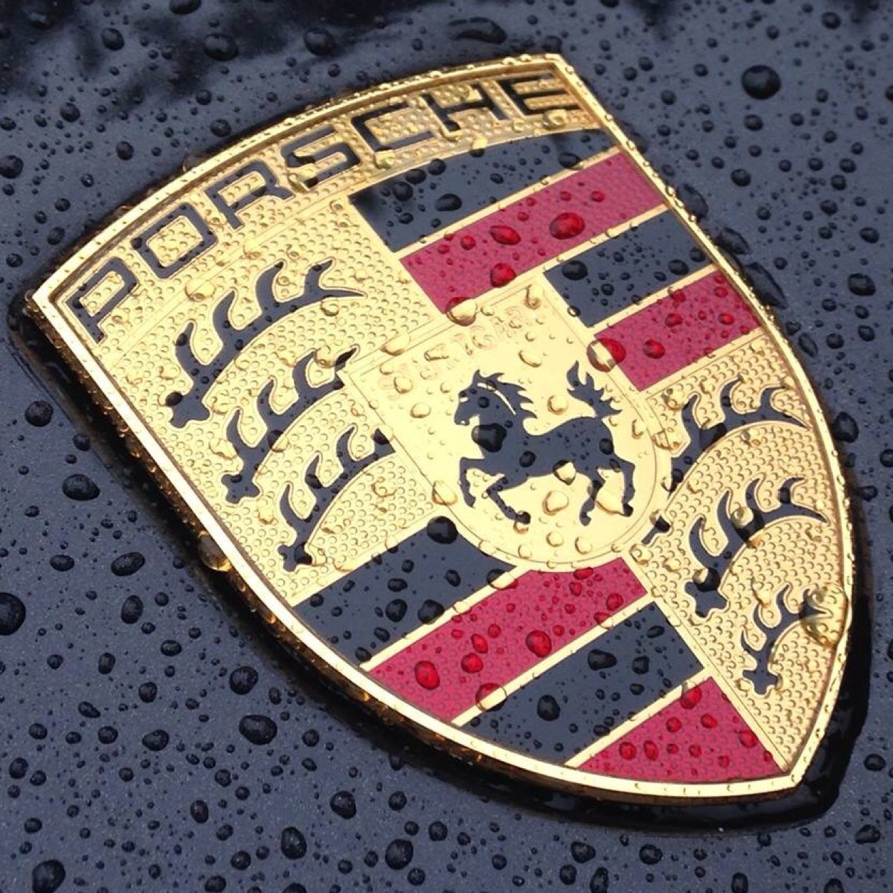Porsche lover, Everton fan, techie/gaming geek and the occasional gambler!