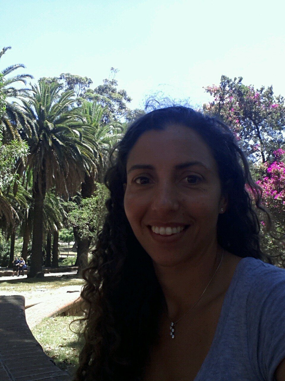 mforrisi's profile picture. 