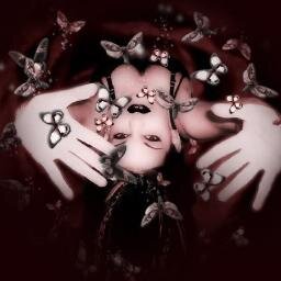 hannibunny168's profile picture. 