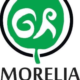 Movimiento juvenil en Morelia que trabaja por un México más desarrollado creando proyectos en pro de la sociedad. Contacto: generación.r.morelia@gmail.com