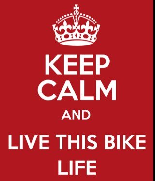 Luv 'em ALL..Stunt, Sport, Cruisers, Dirt, ATVs, Slingshots & Biker ChiX. RTs 4 that #BIKELIFE #Followno1 #STUNT