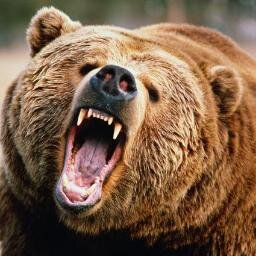 Salmon, Honey, Hibernation, Destruction of Web3