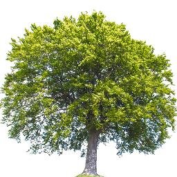 RMITsocent's profile picture. We support education initiatives designed to foster solutions to the world’s most pressing social & environmental problems. Email: socialenterprse@rmit.edu.au