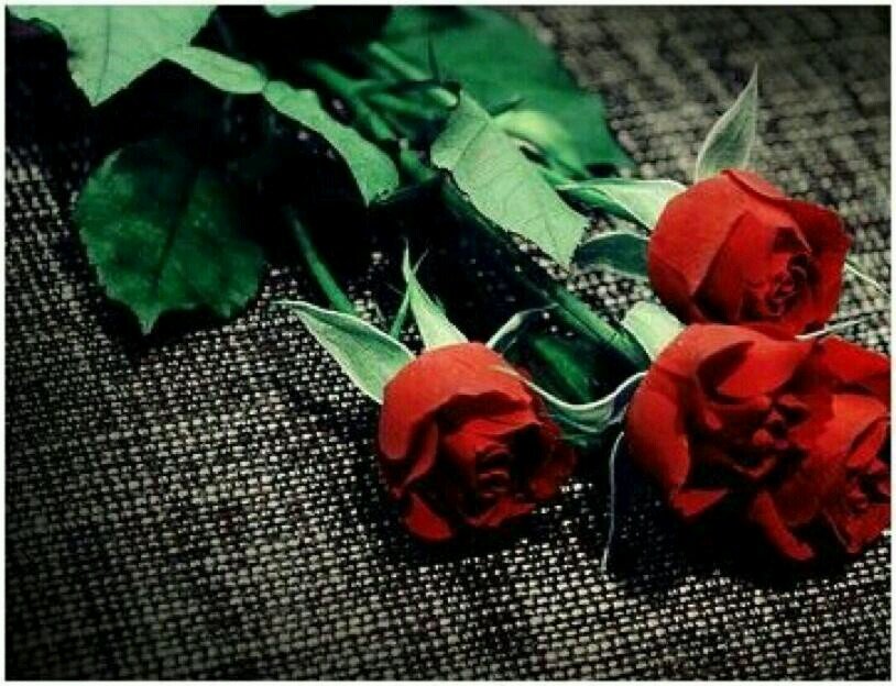 ‏‏جدهه ♡ ..