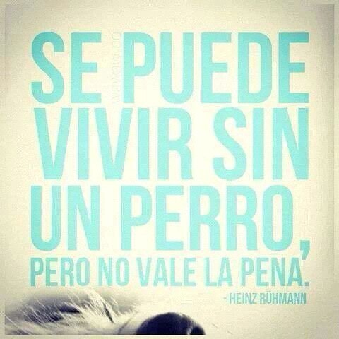 minemtzb's profile picture. 