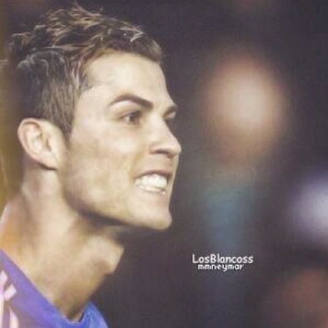 rmd_new's profile picture. اخبار ريال مدريد على مدار الساعه 
Instagram : rmd_news