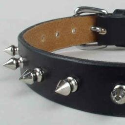 dominasboitoy's profile picture. A lifetime of lifting up the superior sex and submitting!!