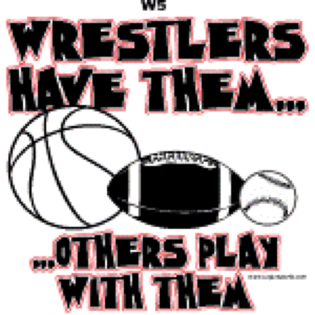 Fagsketball's profile picture. I love cheer and wrestling judge my sports, I'll judge yours!