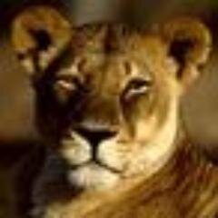 Nubbie813X's profile picture. 