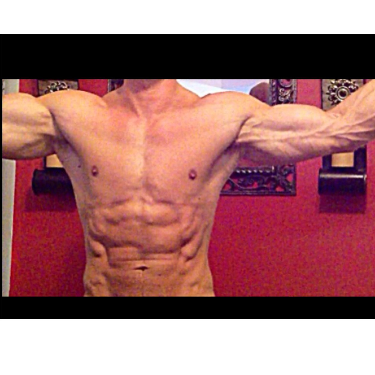 Weightlifter/bodybuilder, sports car enthusiast, marine aquarium keeper, Persian cat tamer, etc.