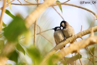 wsed511's profile picture. طالب جامعي عمري ٢٤ جاد بوقت البرد بس ههههههه