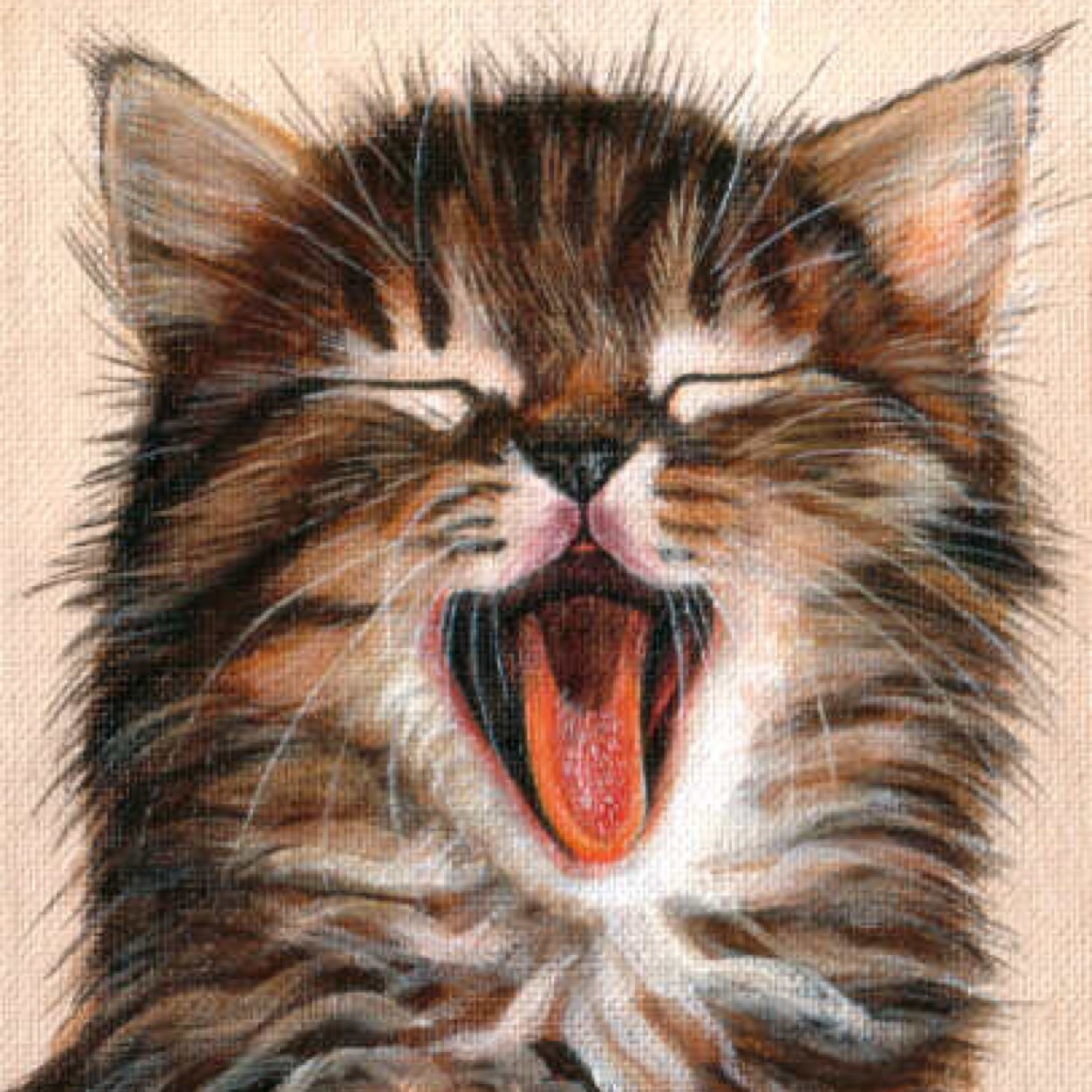 CalamityJoni's profile picture. CUBS FAN, HAWKS FAN