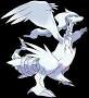 im a nice #female reshiram. all pokemon welcome to chat with me. just follow me, then we can chat.  i like video games and awesome things
