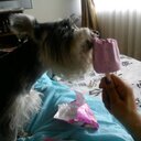 Marysol lopez - @Mary74119128 - Twitter