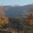 Brian Leffingwell - @Bl69Brian - Twitter