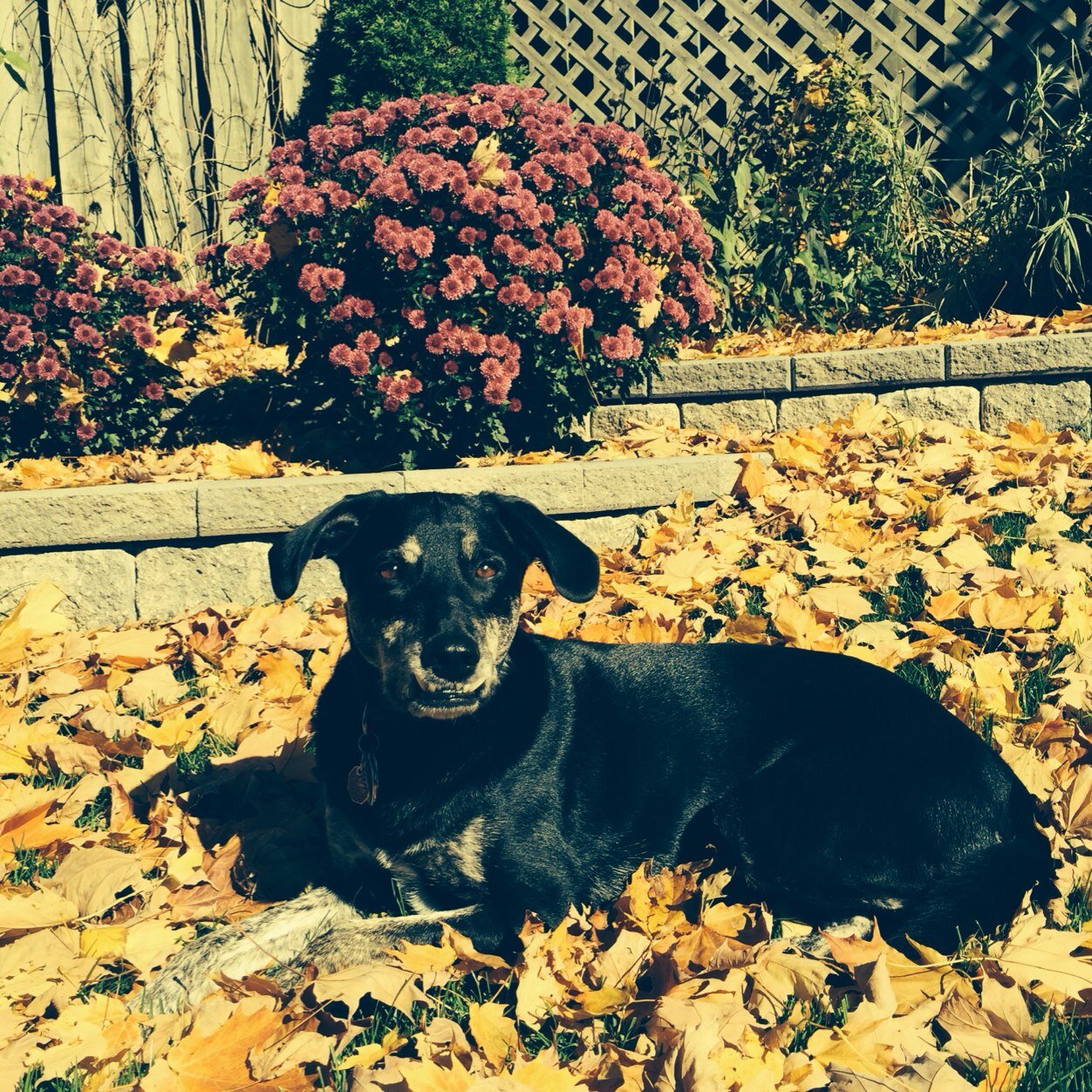 Melloney8's profile picture. 