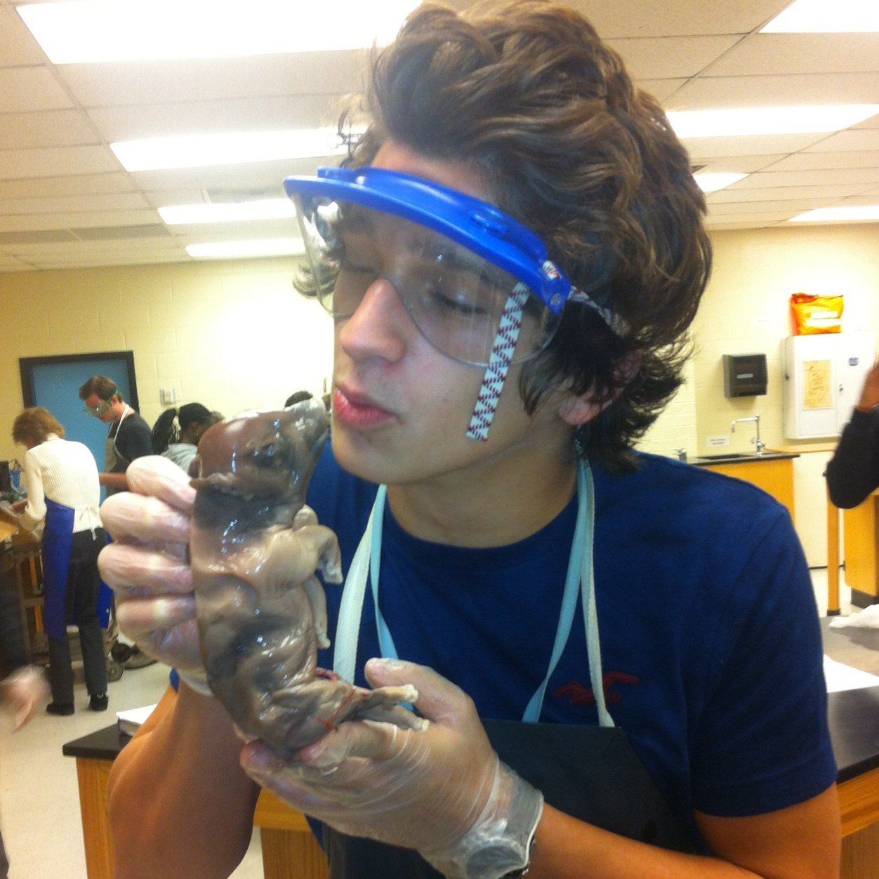 W.W.Z.D. What Would Zach Do